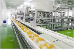 ʳƷGMP����܇(ch��)�g���O(sh��)Ԕ��